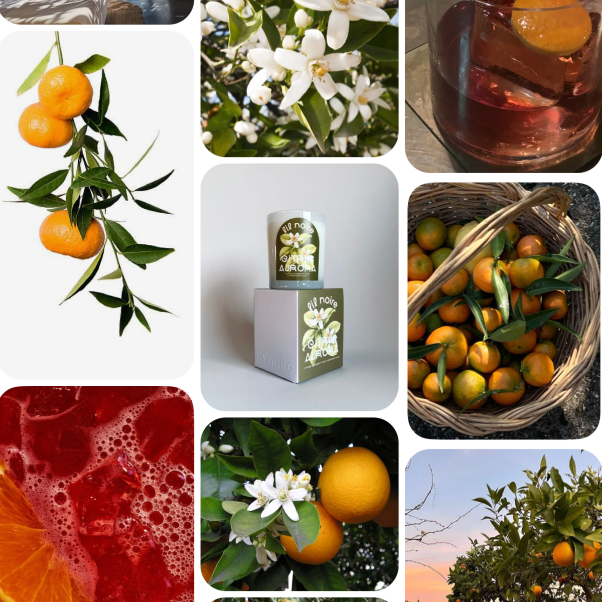 Citrus Aurora – Akdeniz Narenciyesi Kokulu Doğal Soya Mumu | Lil