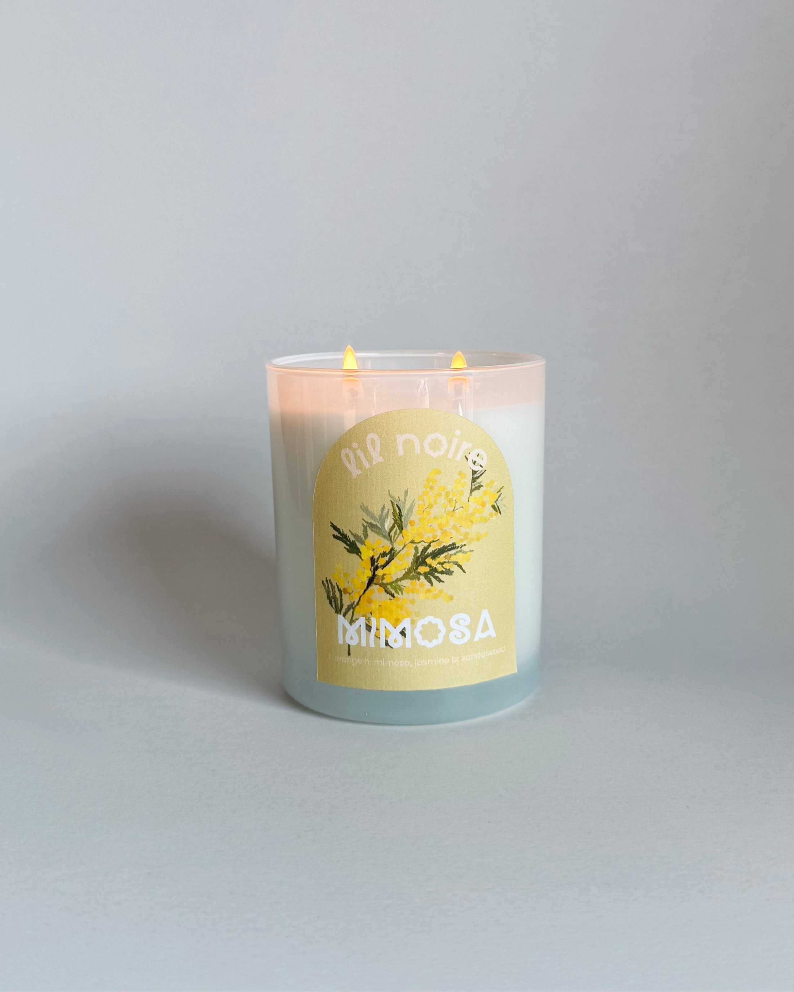 Mimosa