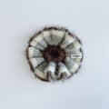 Nênê Scrunchie - Brownie Cloud