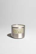 Citrus Aurora Steel mum